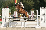 IMG_0042