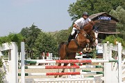 IMG_0049