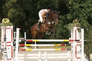 IMG_0062