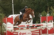 IMG_0016