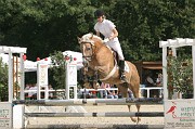 IMG_0006