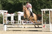 IMG_0044