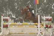 IMG_0001