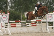 IMG_0036
