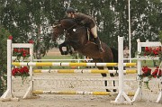 IMG_0051