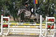 IMG_0036