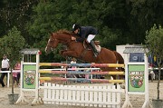 IMG_0045