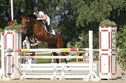 IMG_0011