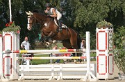 IMG_0015