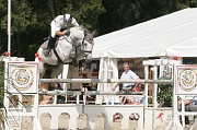 IMG_0071
