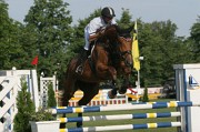 IMG_0038