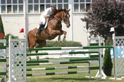 IMG_0002