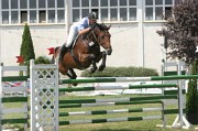 IMG_0005