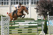 IMG_0037