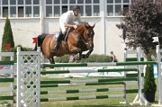 IMG_0049