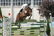 IMG_0052