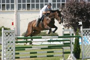 IMG_0061