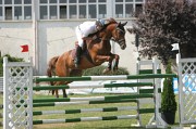 IMG_0080