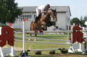 IMG_0178