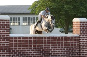 IMG_0031