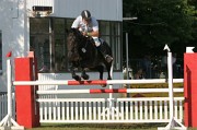 IMG_0012