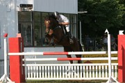 IMG_0041