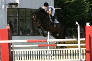 IMG_0049