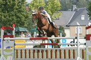 IMG_0018