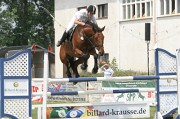 IMG_0014