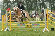 IMG_0003