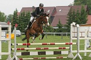 IMG_0010
