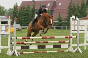 IMG_0041