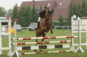 IMG_0047