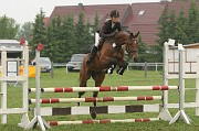 IMG_0049
