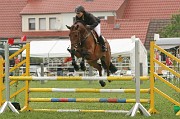 IMG_0037