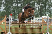 IMG_0048