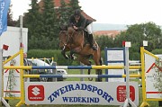 IMG_0010