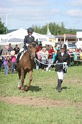 1-1IMG_0010