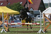 IMG_0006