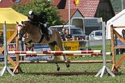 IMG_0008