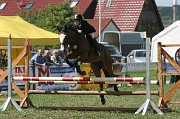 IMG_0010