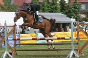 IMG_0027