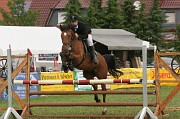 IMG_0050