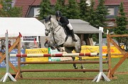 IMG_0061