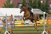 IMG_0067