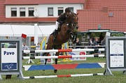 IMG_0012