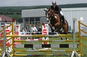 IMG_0030