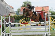 IMG_0015