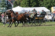 IMG_0001