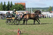 IMG_0002
